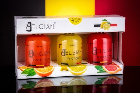 Belgian gift box 3 x 350 ml 